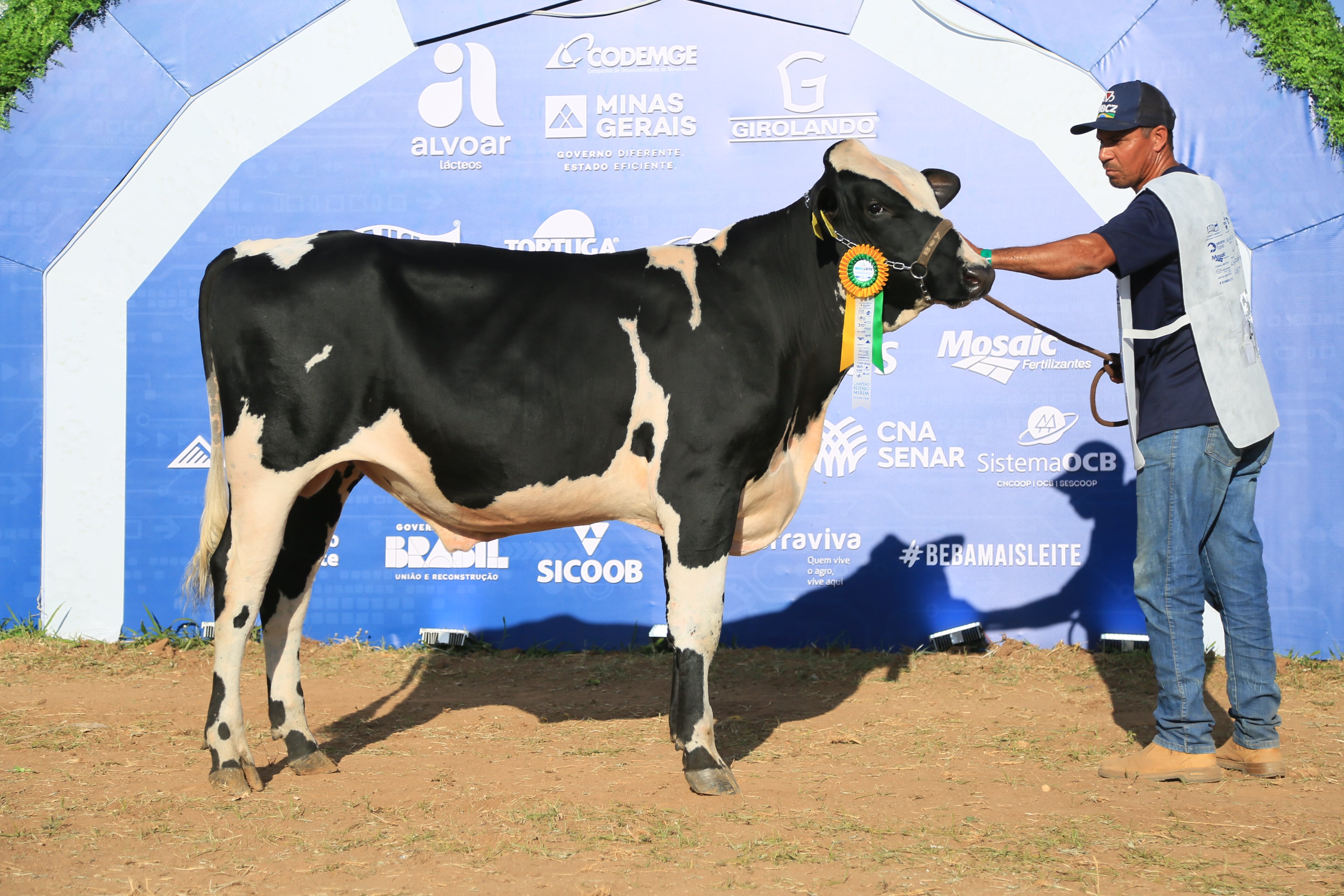 [Foto da Campeã - Expositor]